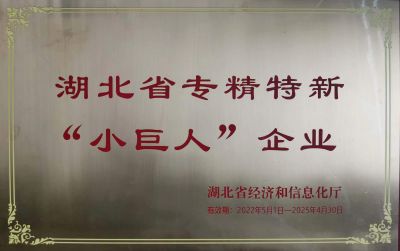 湖北省專精特新小巨人企業