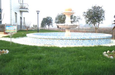 公司風景